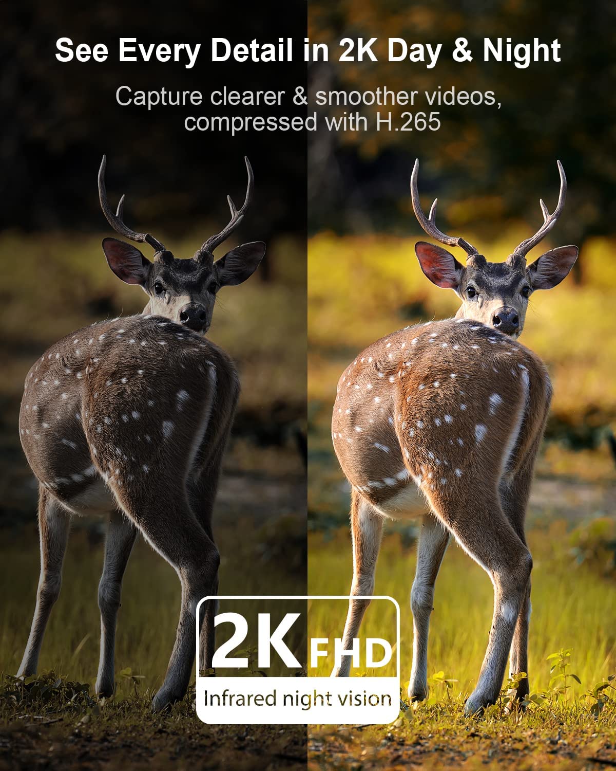 MUBVIEW-G9-2K-High-HD