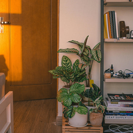 The Future of Home Security is Here: Meet the MUBVIEW QB360 Smart Camera