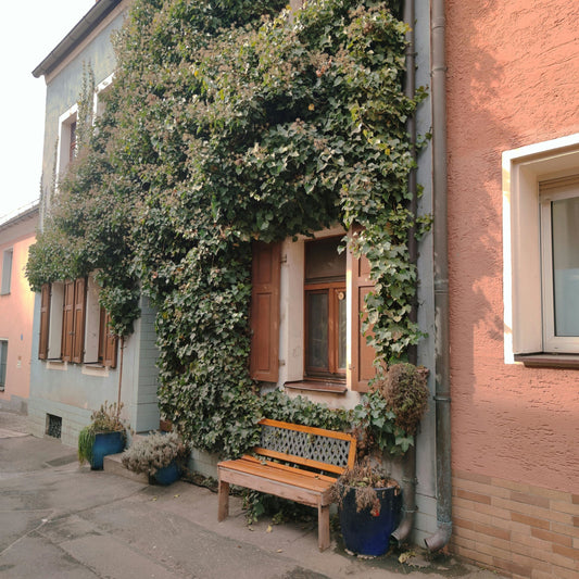 Best Solar Security Camera for Driveway in 2026: 2K PTZ, 360° Coverage & No Subscription